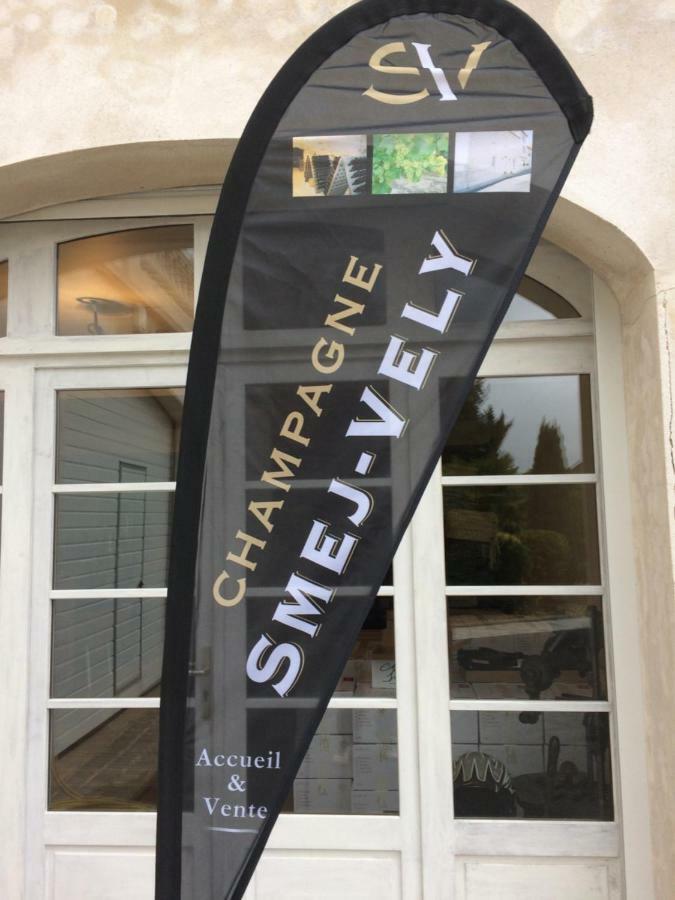 Chambres D'Hotes Karine Smej Chatillon-sur-Marne Bagian luar foto