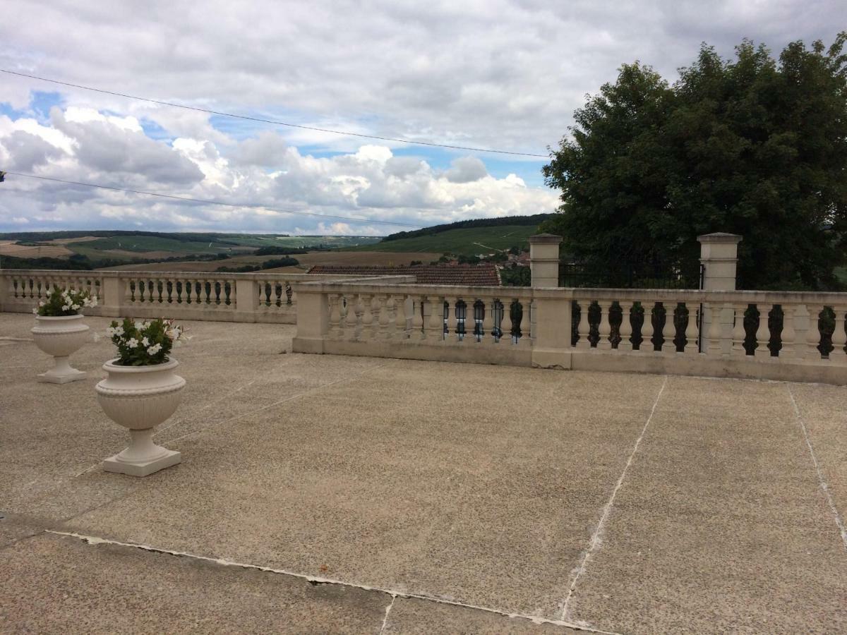 Chambres D'Hotes Karine Smej Chatillon-sur-Marne Bagian luar foto