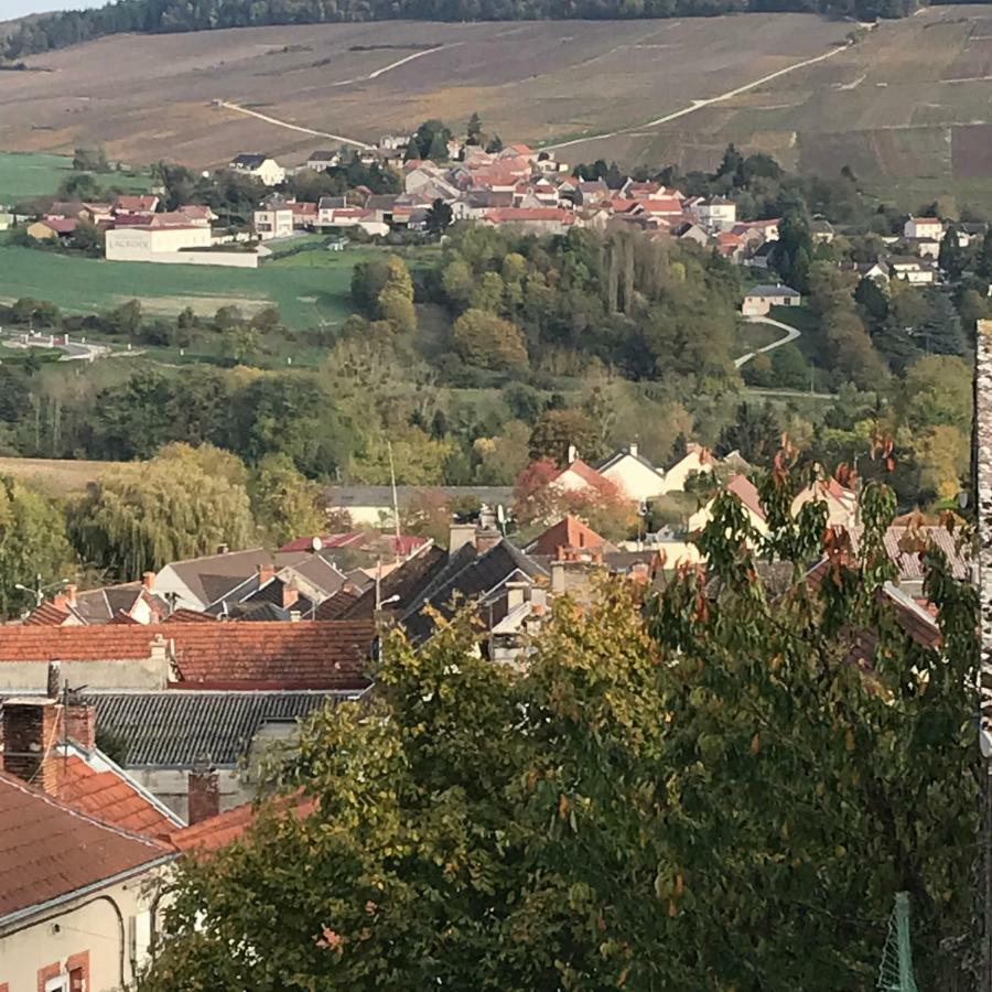 Chambres D'Hotes Karine Smej Chatillon-sur-Marne Bagian luar foto
